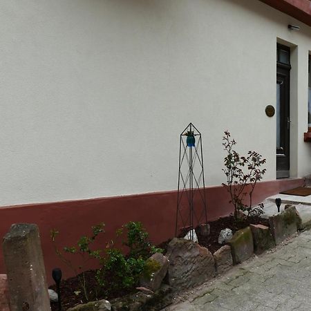 Le Gite Des Sources: Nature, Randonnees, Detente. Oberbronn Εξωτερικό φωτογραφία