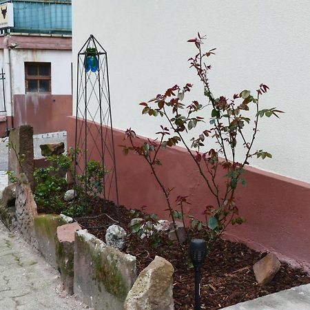 Le Gite Des Sources: Nature, Randonnees, Detente. Oberbronn Εξωτερικό φωτογραφία