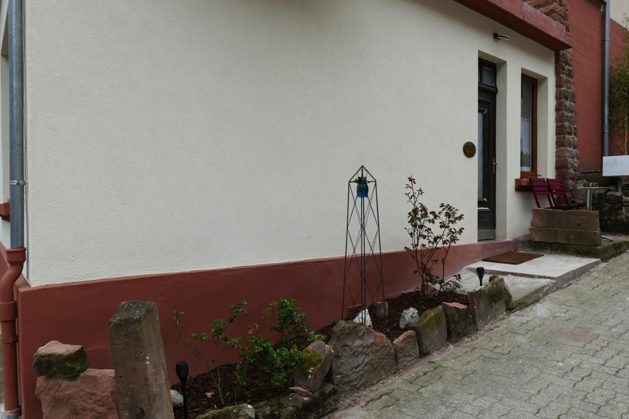 Le Gite Des Sources: Nature, Randonnees, Detente. Oberbronn Εξωτερικό φωτογραφία