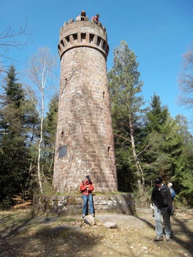 Le Gite Des Sources: Nature, Randonnees, Detente. Oberbronn Εξωτερικό φωτογραφία